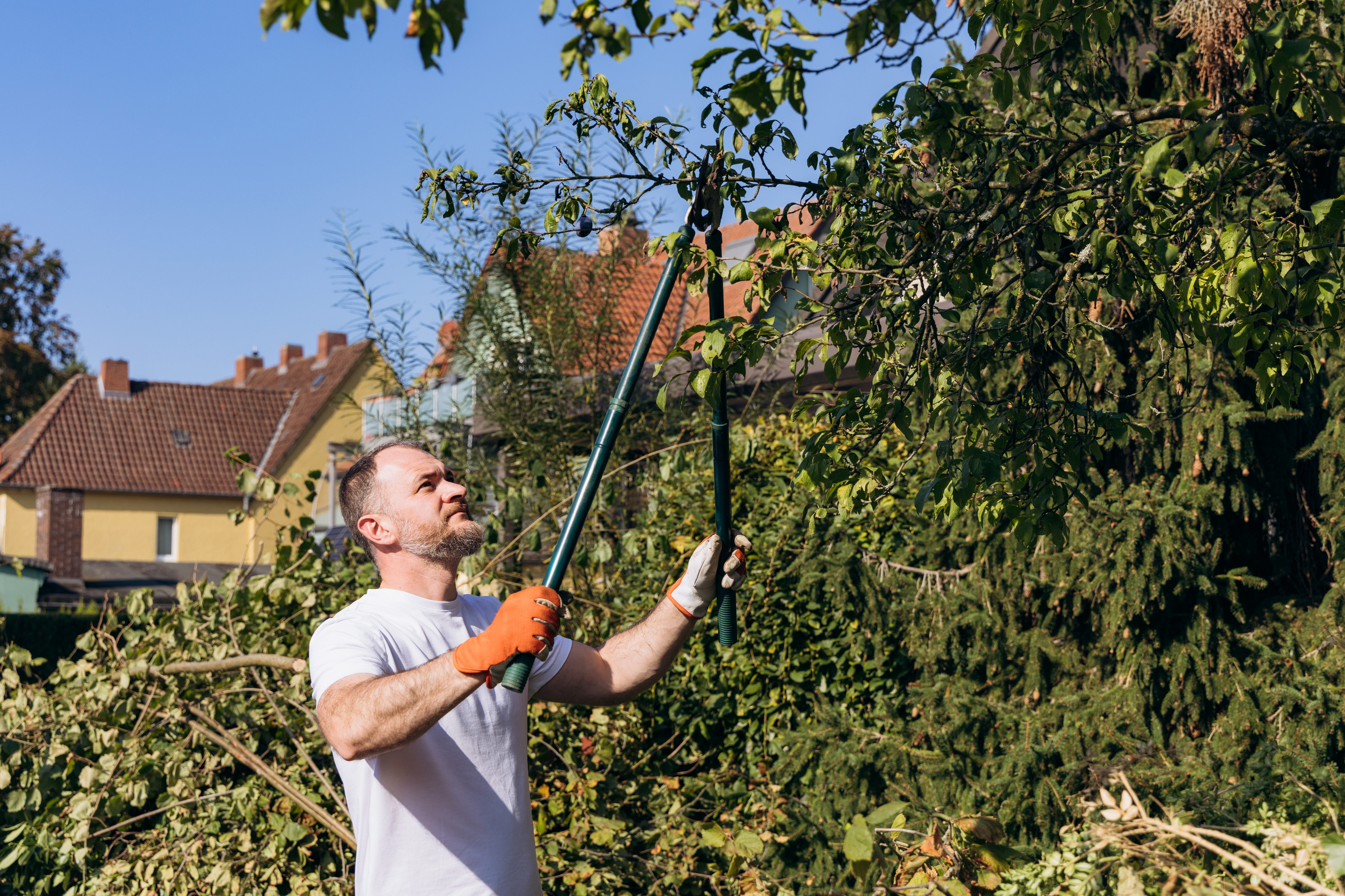 Home and garden concept. Man uses long handled shears to trim leafy branches beside suburban homes